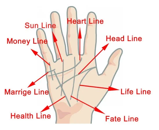 A Beginner's Guide to Reading Hand Lines